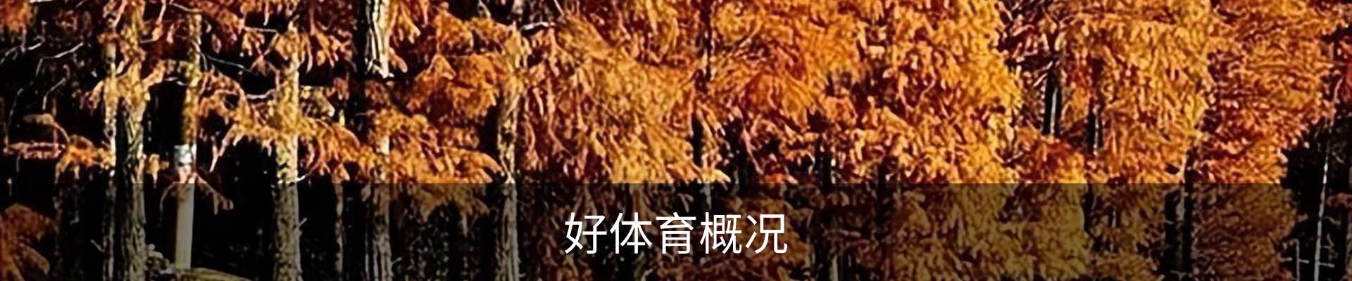好体育概况